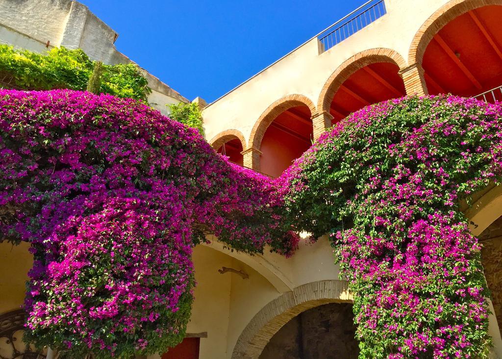 Apartaments Can Gibert Castello  D'Empuries Eksteriør bilde