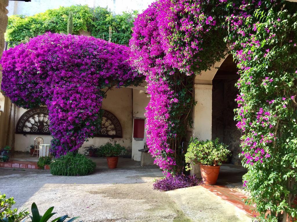 Apartaments Can Gibert Castello  D'Empuries Eksteriør bilde